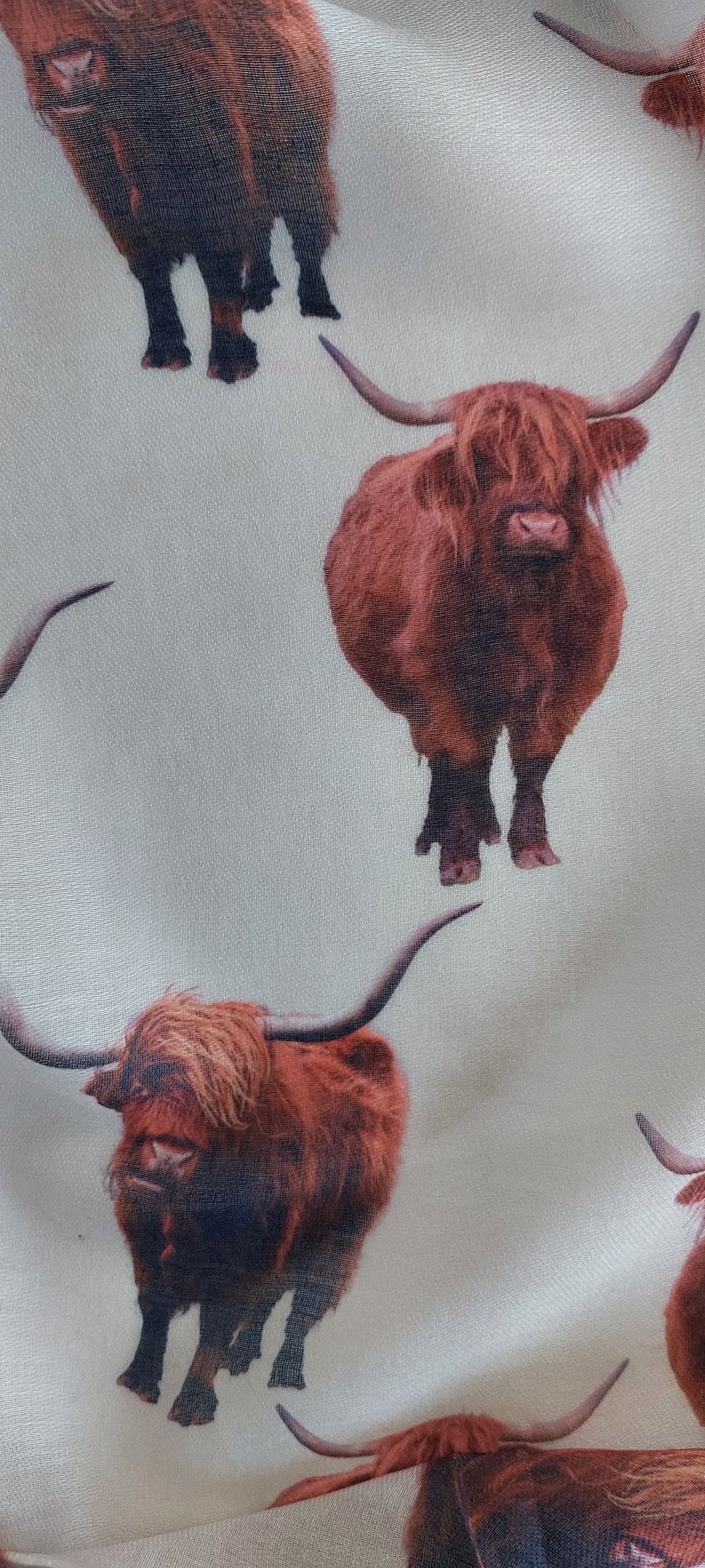 Close-up pattern of Highland cows on a white fabric background