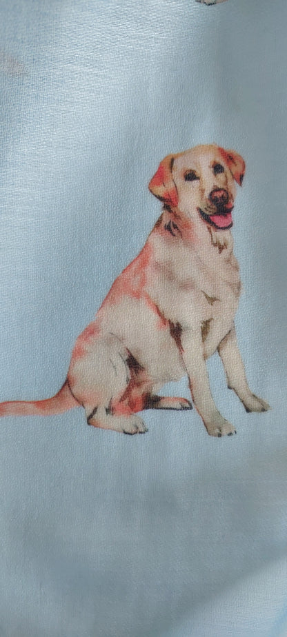 Close-up of a Labrador dog on a light blue scarf background