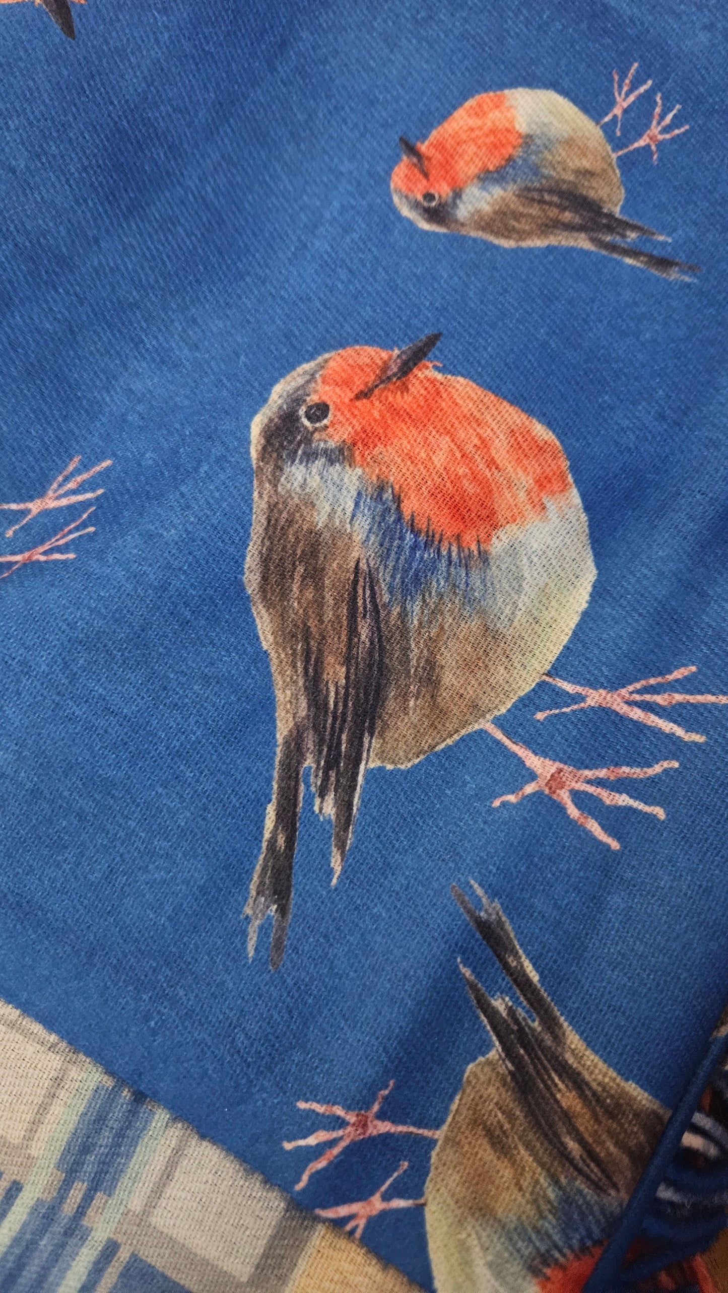 Double-Sided Robin & Tartan Pashmina-Shimena