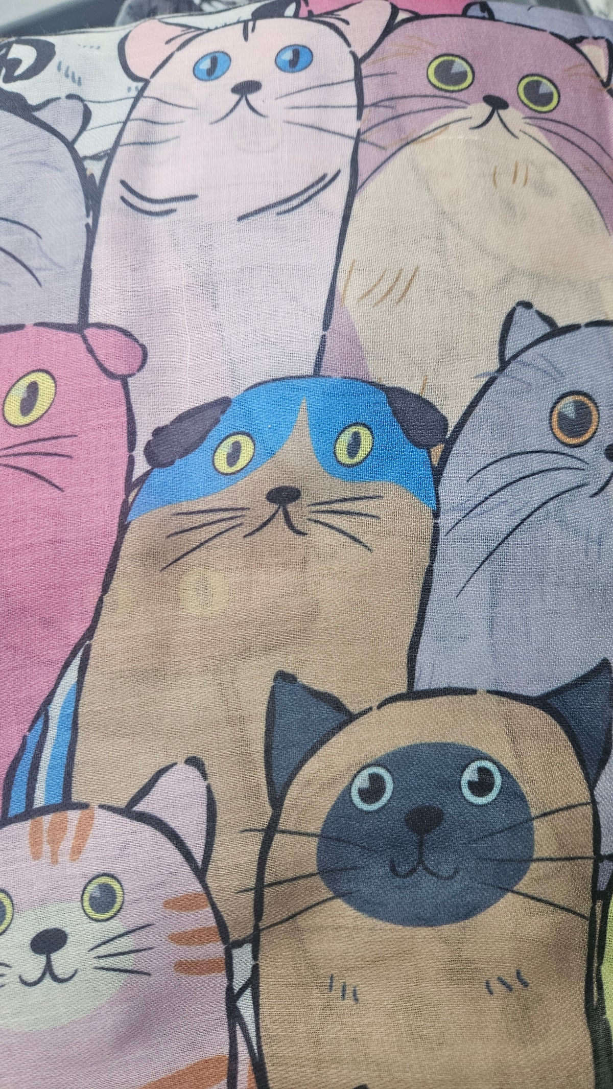 Wide Eyed Cat Scarves